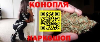 прущие грибы Тверь