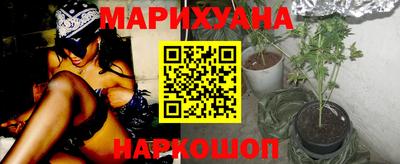 прущие грибы Тверь